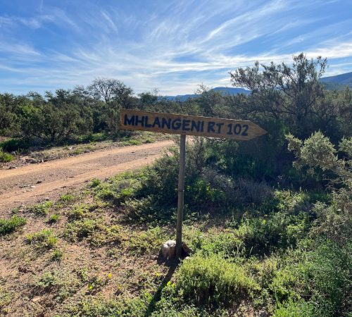 WhatsApp Image 2025-04-30 at 09.11.21