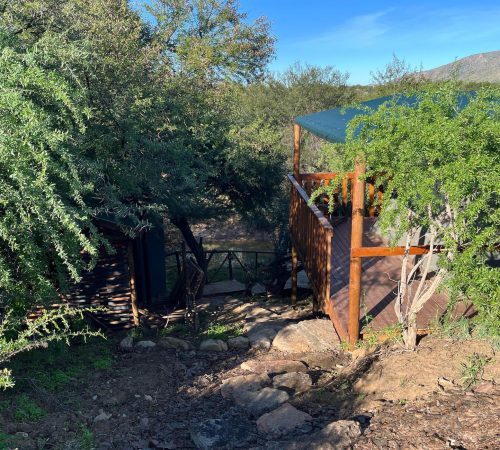 WhatsApp Image 2025-04-30 at 09.11.31