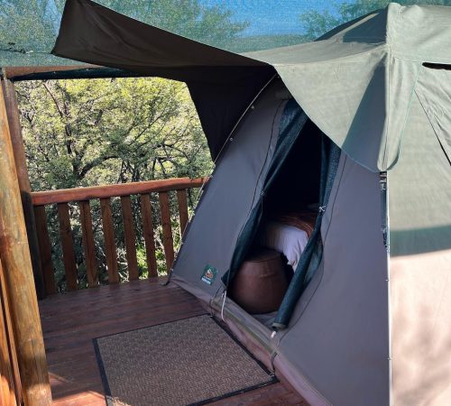 WhatsApp Image 2025-04-30 at 09.11.35