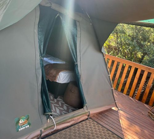 WhatsApp Image 2025-04-30 at 09.11.41