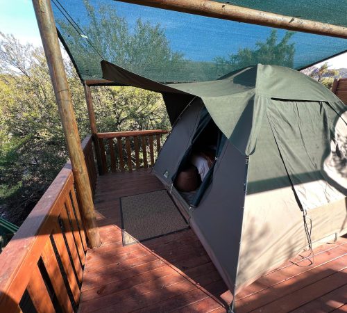 WhatsApp Image 2025-04-30 at 09.11.49