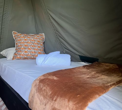 WhatsApp Image 2025-04-30 at 09.11.53