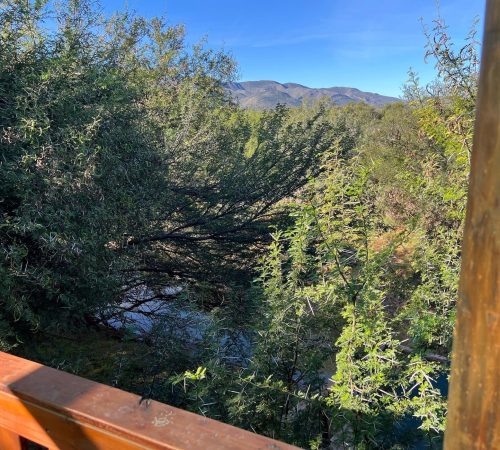 WhatsApp Image 2025-04-30 at 09.12.06 (1)