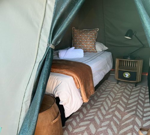 WhatsApp Image 2025-04-30 at 09.17.20