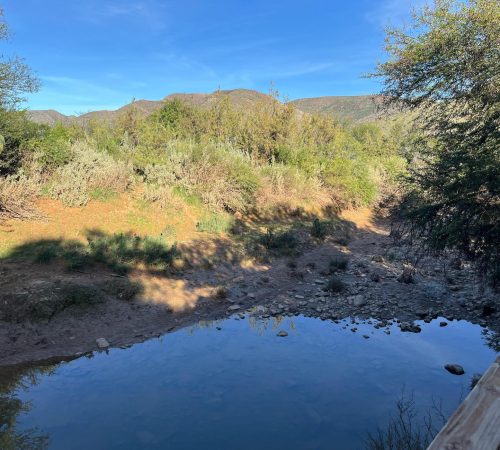 WhatsApp Image 2025-04-30 at 09.17.45