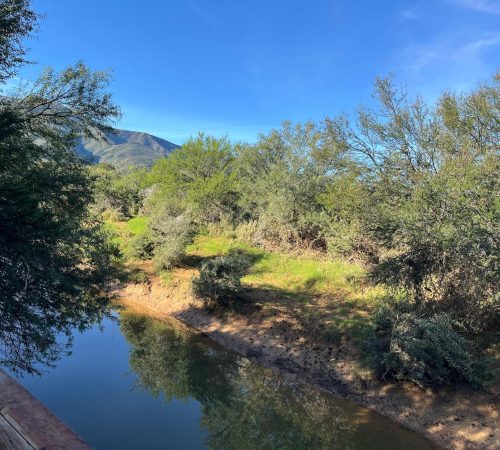 WhatsApp Image 2025-04-30 at 09.17.49