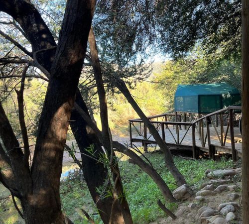 WhatsApp Image 2025-04-30 at 09.17.56