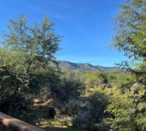 WhatsApp Image 2025-04-30 at 09.18.24