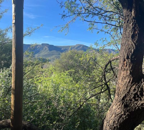 WhatsApp Image 2025-04-30 at 09.22.00