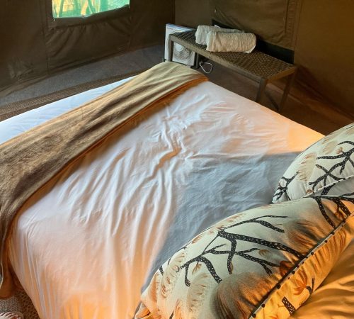 WhatsApp Image 2025-04-30 at 09.22.06