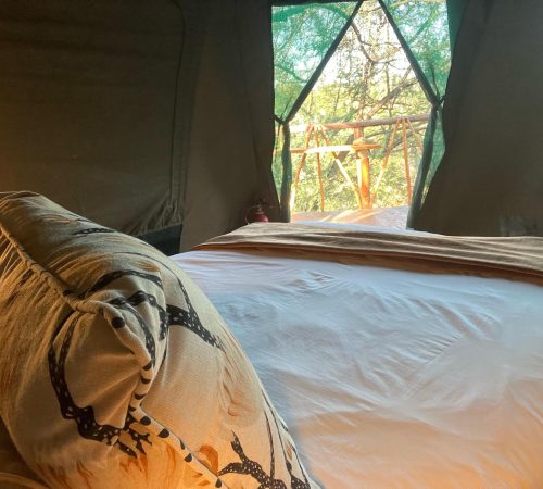 WhatsApp Image 2025-04-30 at 09.22.10