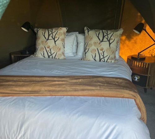 WhatsApp Image 2025-04-30 at 09.22.13 (1)