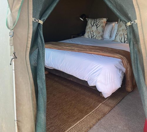 WhatsApp Image 2025-04-30 at 09.22.13