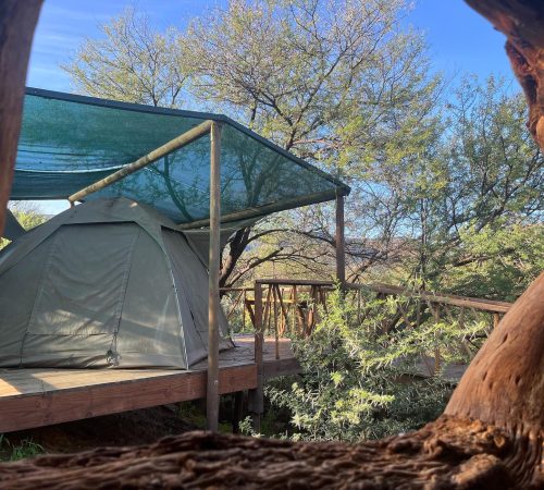 WhatsApp Image 2025-04-30 at 09.22.18