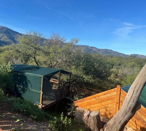 WhatsApp Image 2025-04-30 at 09.22.22