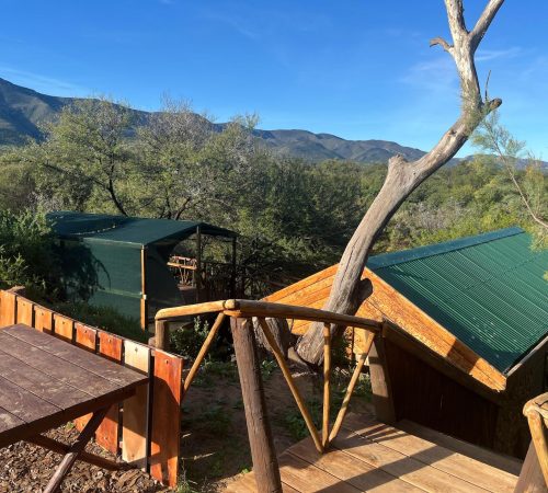 WhatsApp Image 2025-04-30 at 09.22.25 (1)