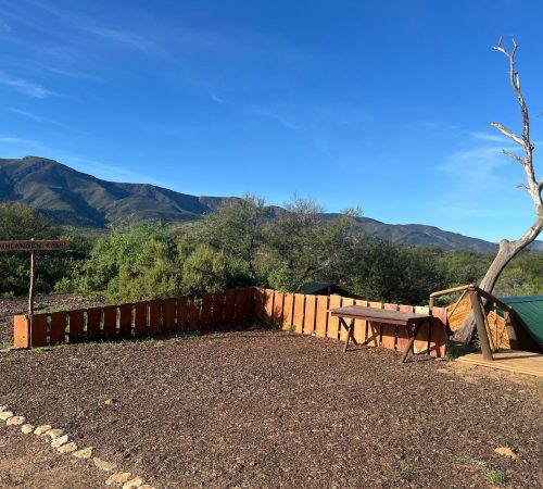 WhatsApp Image 2025-04-30 at 09.34.29