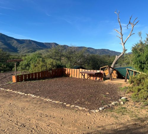 WhatsApp Image 2025-04-30 at 09.34.31