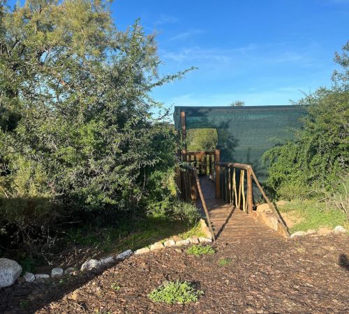 WhatsApp Image 2025-04-30 at 09.34.34