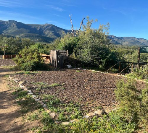 WhatsApp Image 2025-04-30 at 09.34.36