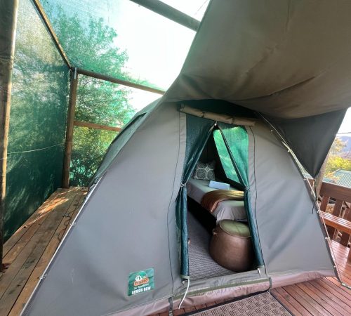 WhatsApp Image 2025-04-30 at 09.34.49