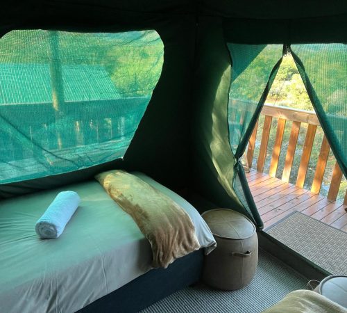 WhatsApp Image 2025-04-30 at 09.34.52