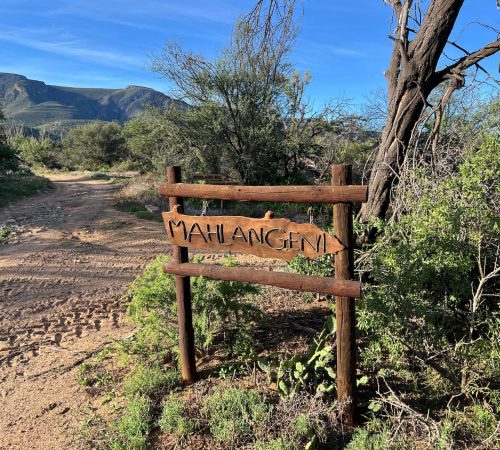 WhatsApp Image 2025-04-30 at 09.34.58