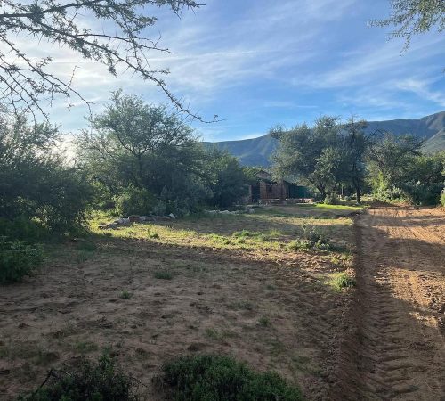 WhatsApp Image 2025-04-30 at 09.35.14