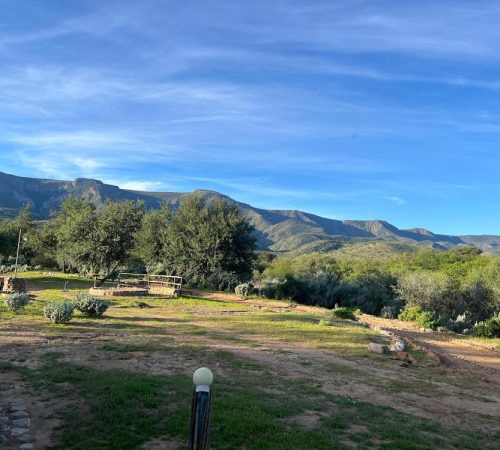 WhatsApp Image 2025-04-30 at 09.43.59